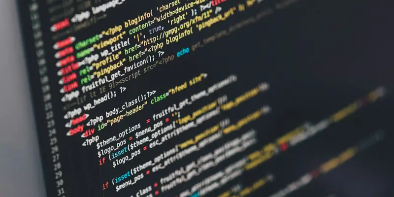 Developer's monitor showing API code