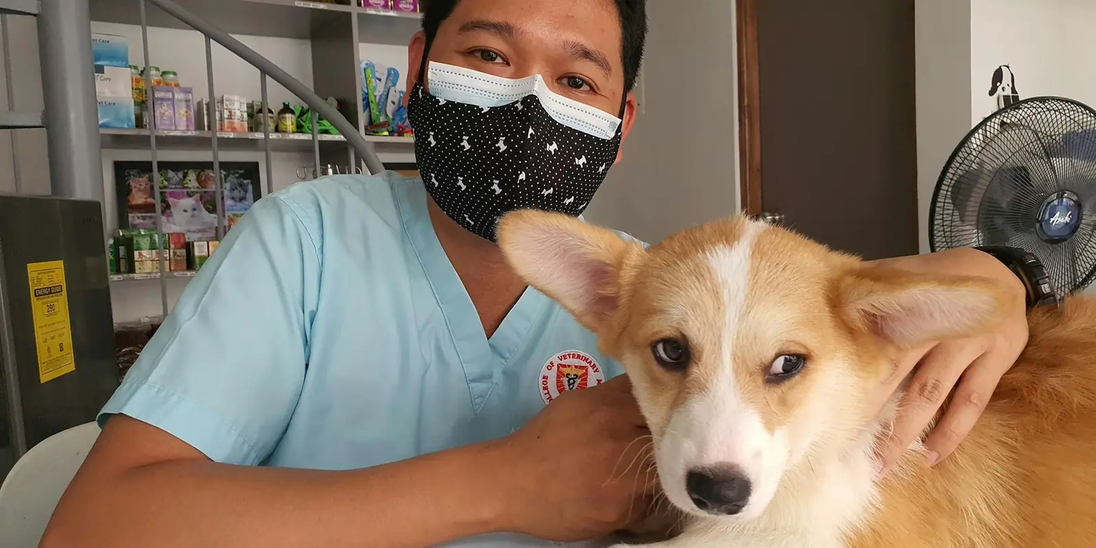 Veterinarian with a dog at a clinic, USA